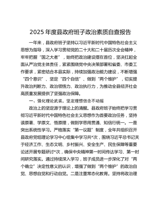 2025年度县政府班子政治素质自查报告