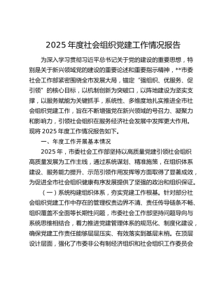 2025年度社会组织党建工作情况报告