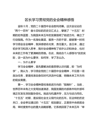 区长学习贯彻党的二十届四中全会精神感悟