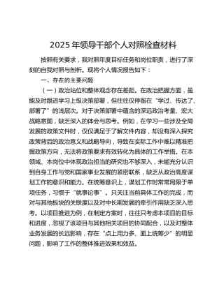 2025年领导干部个人对照检查材料