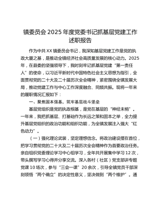 镇委员会2025年度党委书记抓基层党建工作述职报告