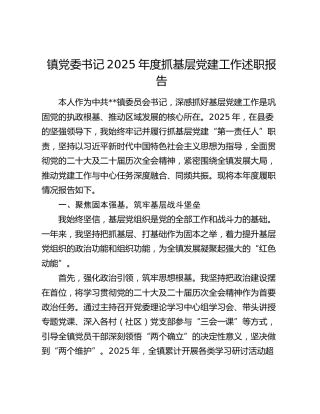 镇党委书记2025年度抓基层党建工作述职报告