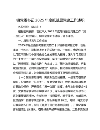 镇党委书记2025年度抓基层党建工作述职