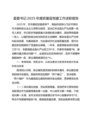 县委书记2025年度抓基层党建工作述职报告