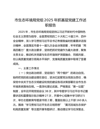 市生态环境局党组2025年抓基层党建工作述职报告
