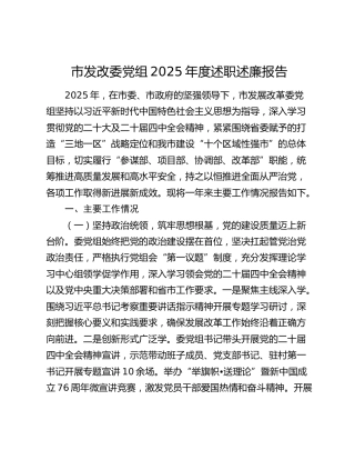 市发改委党组2025年度述职述廉报告