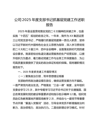 公司2025年度支部书记抓基层党建工作述职报告