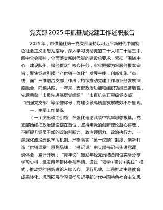 党支部2025年抓基层党建工作述职报告