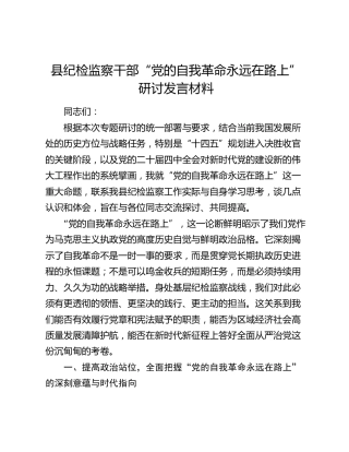 县纪检监察干部“党的自我革命永远在路上”研讨发言材料​