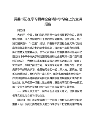 党委书记在学习贯彻四中全会精神学习会上的宣讲报告