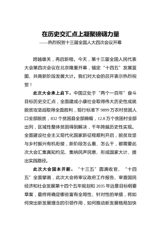 在历史交汇点上凝聚磅礴力量——热烈祝贺十三届全国人大四次会议开幕(1)