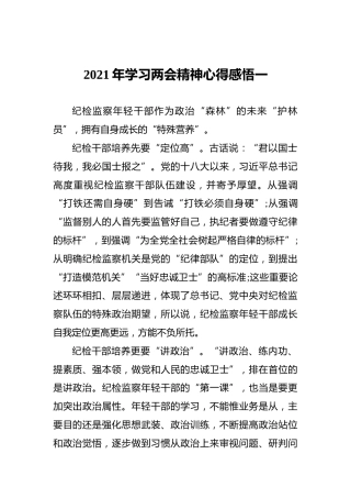 2021年学习两会精神心得感悟一