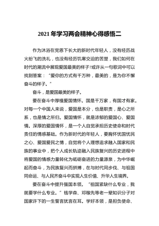 2021年学习两会精神心得感悟二