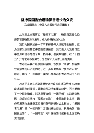 “两会·声音”马逢国：坚持爱国者治港确保香港长治久安