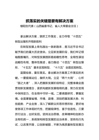 “两会·声音”楼阳生：抓落实的关键是要有解决方案(1)