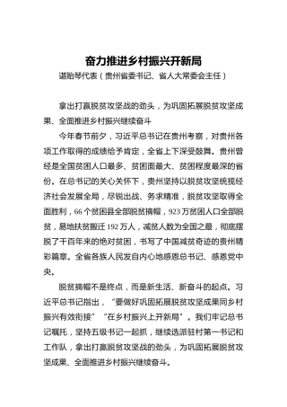 “两会·声音”谌贻琴：奋力推进乡村振兴开新局(1)