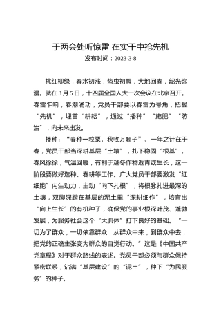 两会学习心得体会：于两会处听惊雷在实干中抢先机