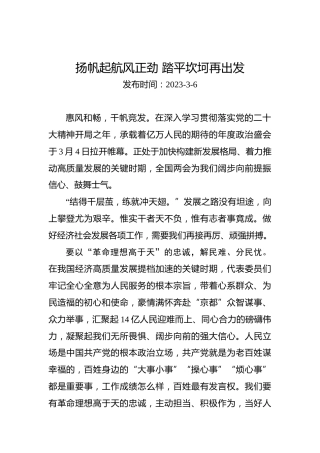 两会学习心得体会：扬帆起航风正劲踏平坎坷再出发