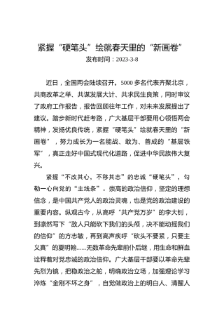 两会学习心得体会：紧握“硬笔头”绘就春天里的“新画卷”