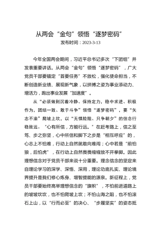 两会学习心得体会：从两会“金句”领悟“逐梦密码”