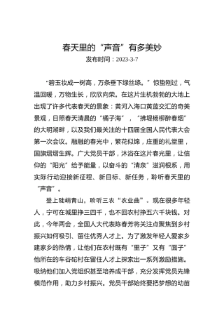 两会学习心得体会：春天里的“声音”有多美妙