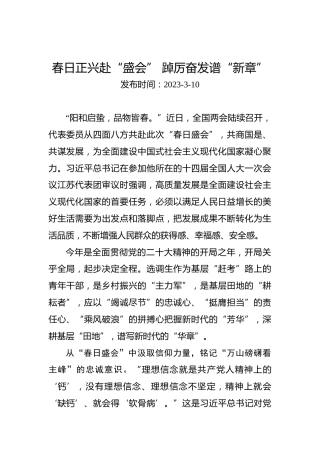 两会学习心得体会：春日正兴赴“盛会”踔厉奋发谱“新章”
