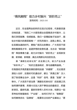 两会学习心得体会：“乘风翱翔”助力乡村振兴“跃阶而上”