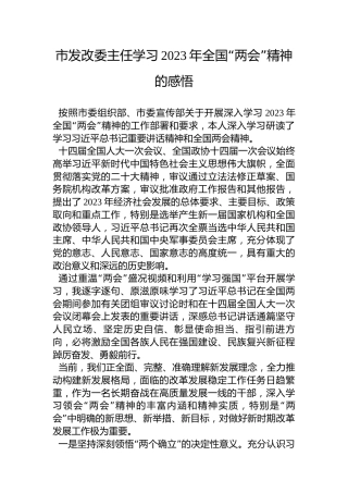 市发改委主任学习2023年全国“两会”精神的感悟心得体会