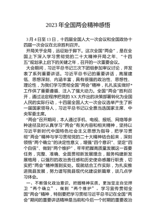 2023年全国两会精神感悟心得体会