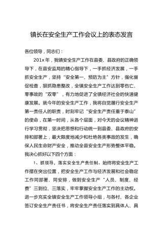 镇长在安全生产工作会议上的表态发言