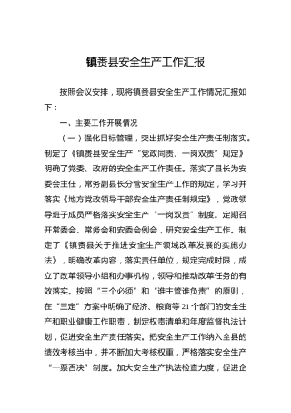 镇赉县安全生产工作汇报