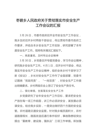 枣碧乡人民政府关于贯彻落实市安全生产工作会议的汇报
