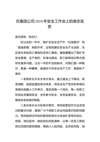 在集团公司2019年安全工作会上的表态发言