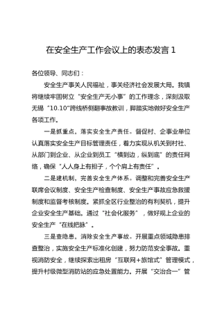 在安全生产工作会议上的表态发1