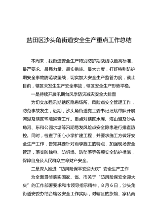 盐田区沙头角街道安全生产重点工作总结