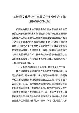 盐池县文化旅游广电局关于安全生产工作落实情况的汇报