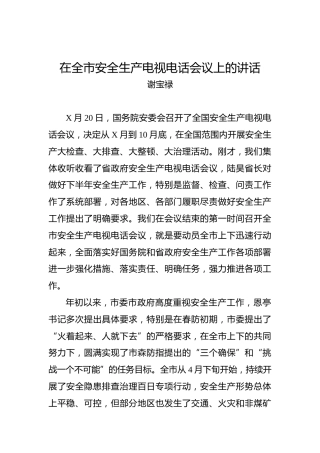 谢宝禄：在全市安全生产电视电话会议上的讲话