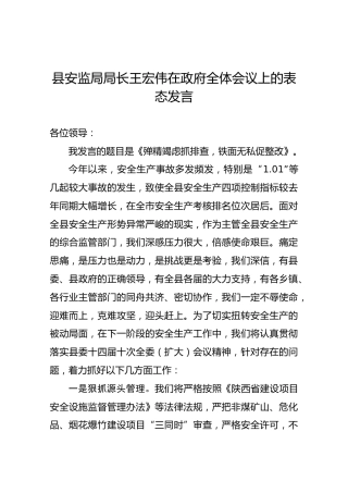 王宏伟：在政府全体会议上的表态发言