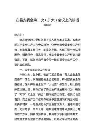 苏晓明：在县安委会第二次（扩大）会议上的讲话