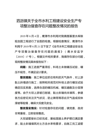 泗沥镇关于全市水利工程建设安全生产专项整治督查存在问题整改情况的报告