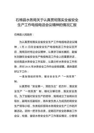 石棉县水务局关于认真贯彻落实全省安全生产工作电视电话会议精神的情况汇报