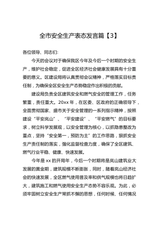 全市安全生产表态发言篇3