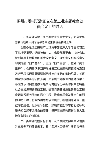谢正义：在第二批主题教育动员会议上的讲话