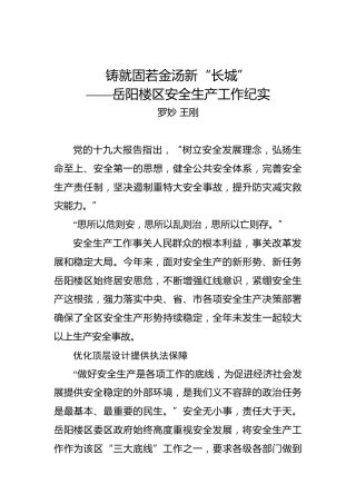 罗妙王刚：铸就固若金汤新“长城”——岳阳楼区安全生产工作纪实