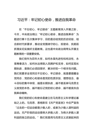 习近平：牢记初心使命，推进自我革命