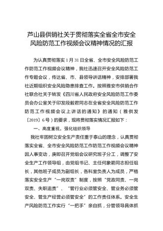 芦山县供销社关于贯彻落实全省全市安全风险防范工作视频会议精神情况的汇报