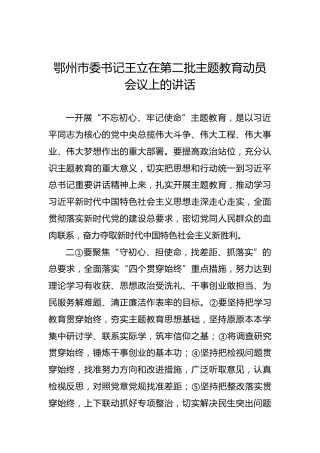 王立：在第二批主题教育动员会议上的讲话