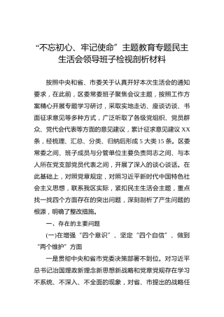 第二批“不忘初心、牢记使命”主题教育专题民主生活会领导班子检视剖析材料