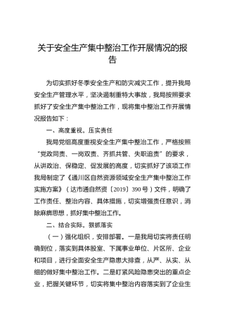 关于安全生产集中整治工作开展情况的报告