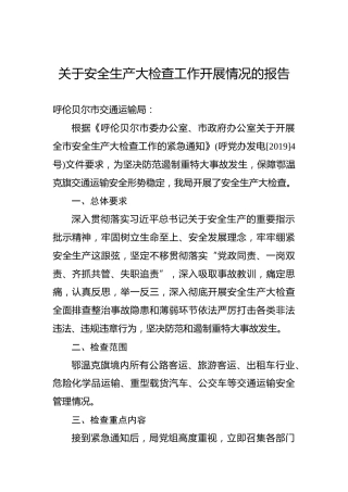关于安全生产大检查工作开展情况的报告